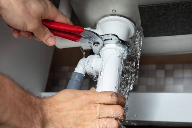 Best Flood restoration services  in New Haven, CT