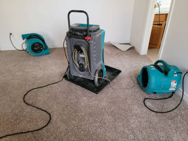 Best Water damage restoration near me  in New Haven, CT