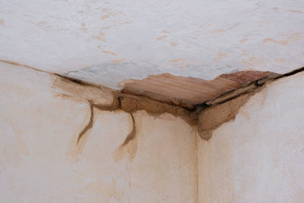 Best Flood damage cleanup  in New Haven, CT