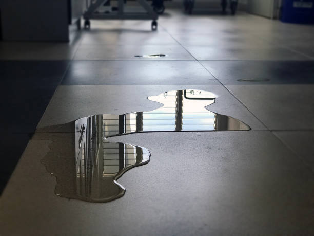 Best Water damage cleanup near me  in New Haven, CT