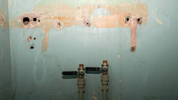 Best Water damage repair service  in New Haven, CT