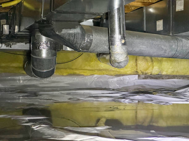 Best Water damage restoration near me  in New Haven, CT