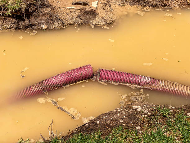 Best Sewage cleanup and water damage restoration  in New Haven, CT