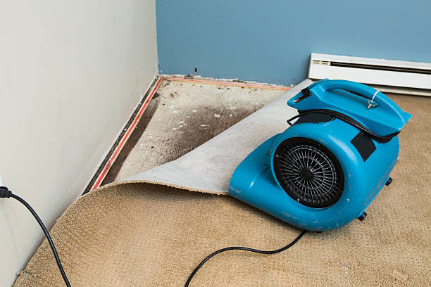 Best Basement water damage restoration  in New Haven, CT